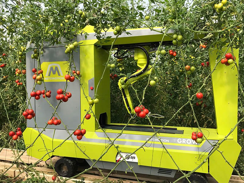 Agrodigital_us's tweet photo. 🔎 Israeli startup develops first tomato-picking #robot https://t.co/cbkUIqrEKE #Agtech #Agriculture #Metomotion #Robotics #AI https://t.co/wfNbZjHp2t
