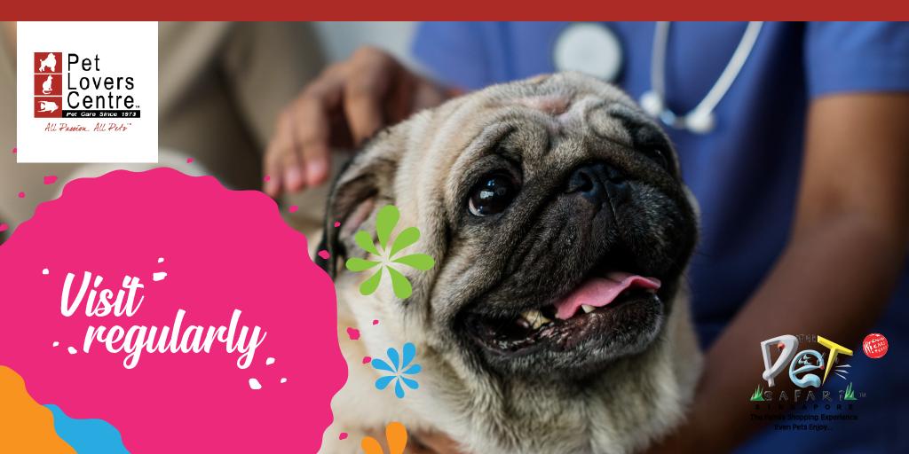 PLC_Singapore's tweet photo. Make your trip to the vet a tail-wagging experience for your furbaby. Learn how you can put your dogs at ease on your next visit! #2TipsTuesday

Don't forget to get these travel essentials too for a comfortable trip:
https://t.co/JxxFUR3W08 https://t.co/2ZLGl0mYBb