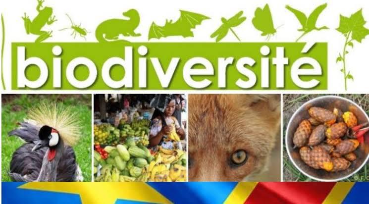BIODIVERSITÉ RD Congo tweet media