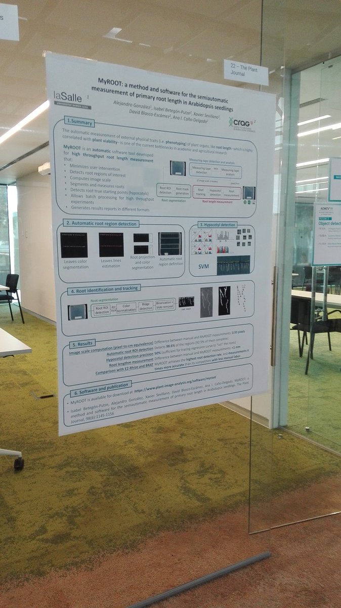 xavi_sevillano's tweet photo. MYROOT poster setup for the poster session of the 2019 Annual Catalan Meeting on Computer Vision #ACMCV2019 @LaSalleBCN @CRAGENOMICA @agalegon @Ana_CanoDelgado @Isabel_Betegon https://t.co/iQvg3vBEfP
