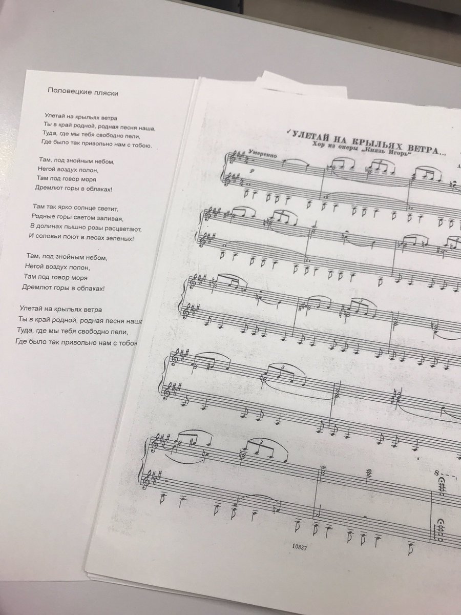 今日の授業で一年生は「ポロヴェツ人（韃靼人）の踊り」を歌えるようになりました✨