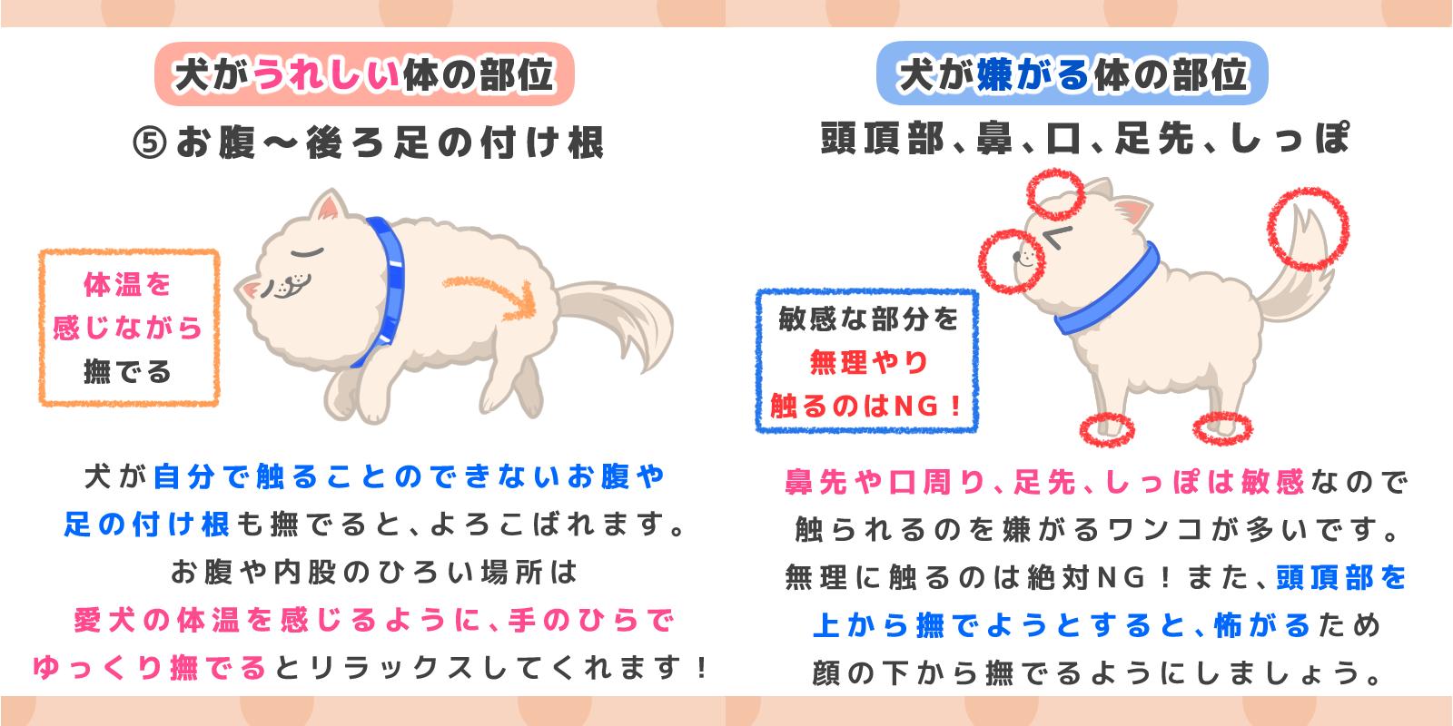 ペットフード販売士 ドッグトレーナー ゆき 愛犬とのコミニュケーションを深めるためにも 犬が撫でられると喜ぶ 場所と 触られるのが苦手な場所を知っておきましょう 犬のごはん塾 犬のいる暮らし