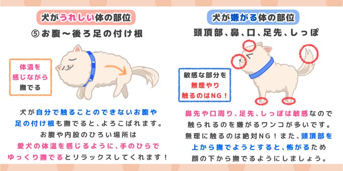 犬のごはん塾のtwitterイラスト検索結果 犬のごはん塾のtwitterイラスト検索結果
