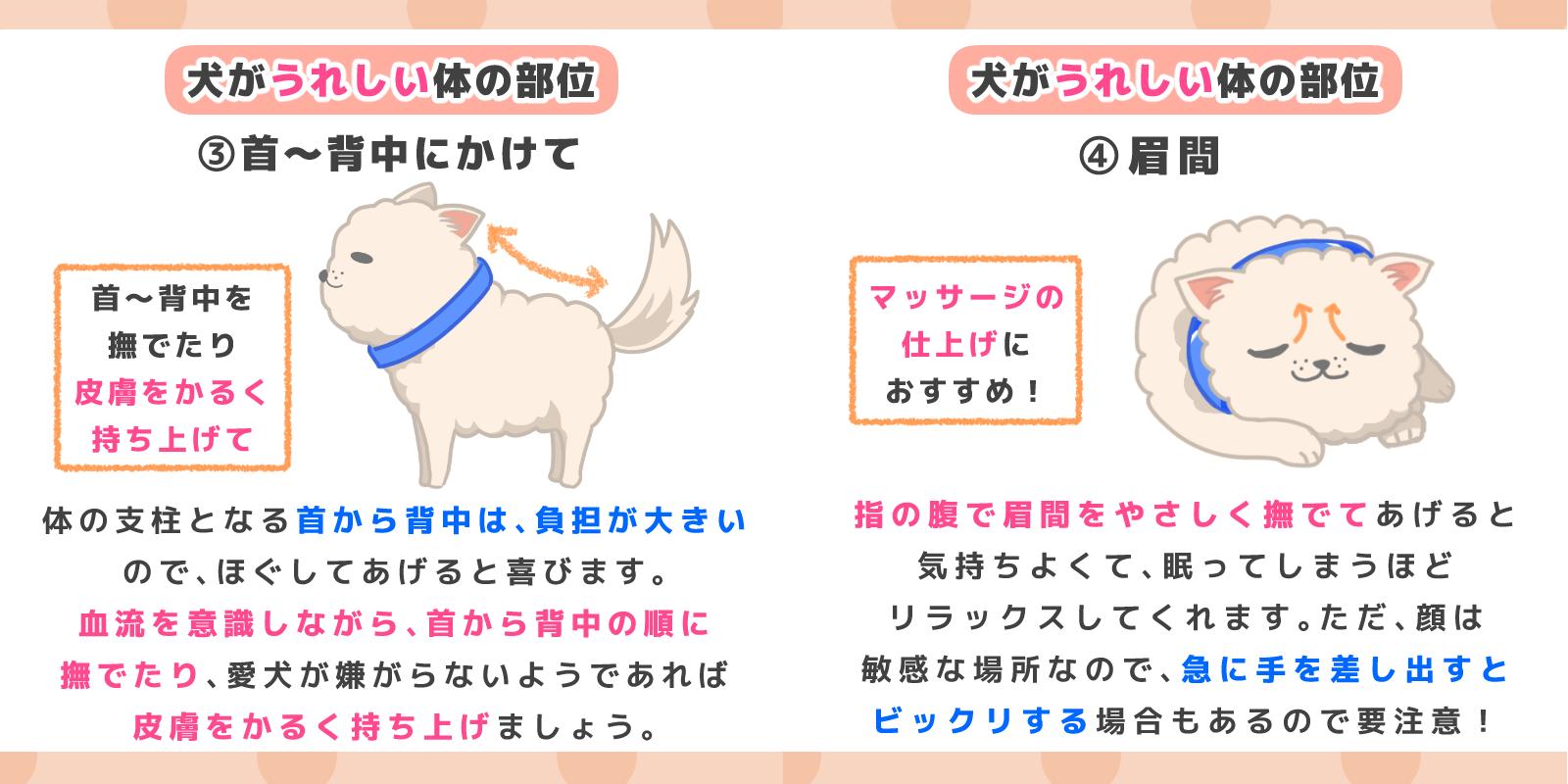 تويتر ドッグトレーナー ゆき 初書籍 絶賛発売中です على تويتر 愛犬とのコミニュケーションを深めるためにも 犬 が撫でられると喜ぶ場所と 触られるのが苦手な場所を知っておきましょう 犬のごはん塾 犬のいる暮らし T Co Sy9wd97loj