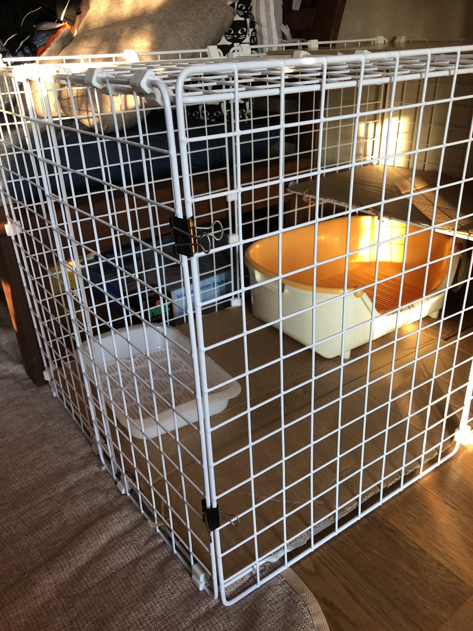 るぅん パスタ 猫ちゃんのゲージできました ワイヤーネット1枚だけ固定しないで扉にします カギはこれまでの経験上からダブルクリップ 今回は ネットと突っ張り棒2本使い 一部2段にしました 使ったワイヤーネット13枚 突っ張り棒2本 結束バンド 1800円程 るぅん パスタ 猫ちゃんのゲージできました ワイヤーネット1枚だけ固定しないで扉にします カギはこれまでの経験上からダブルクリップ 今回は ネットと突っ張り棒2本使い 一部2段にしました 使ったワイヤーネット13枚 突っ張り棒2本 結束バンド 1800円程