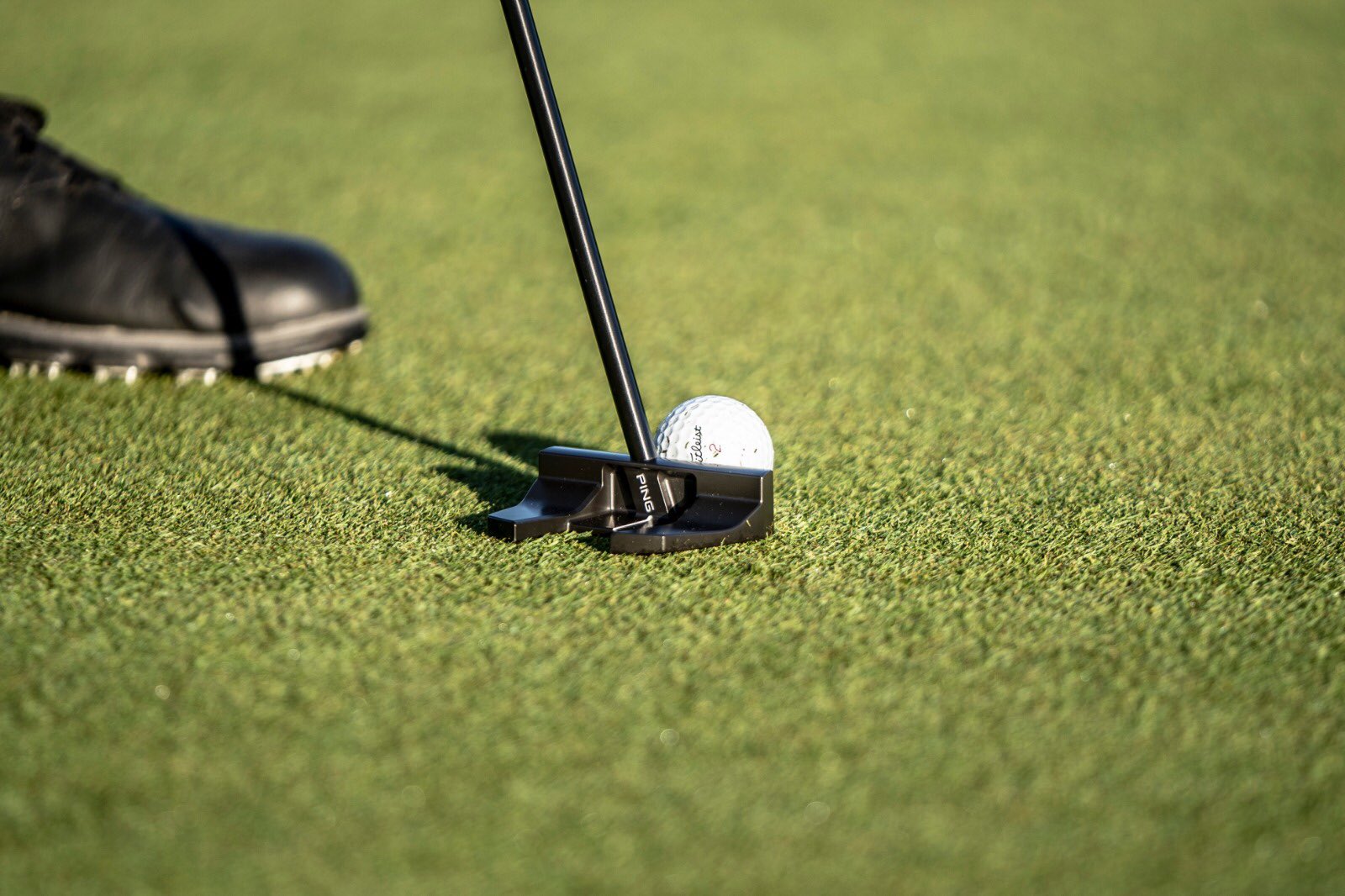 ping pld prime tyne c putter