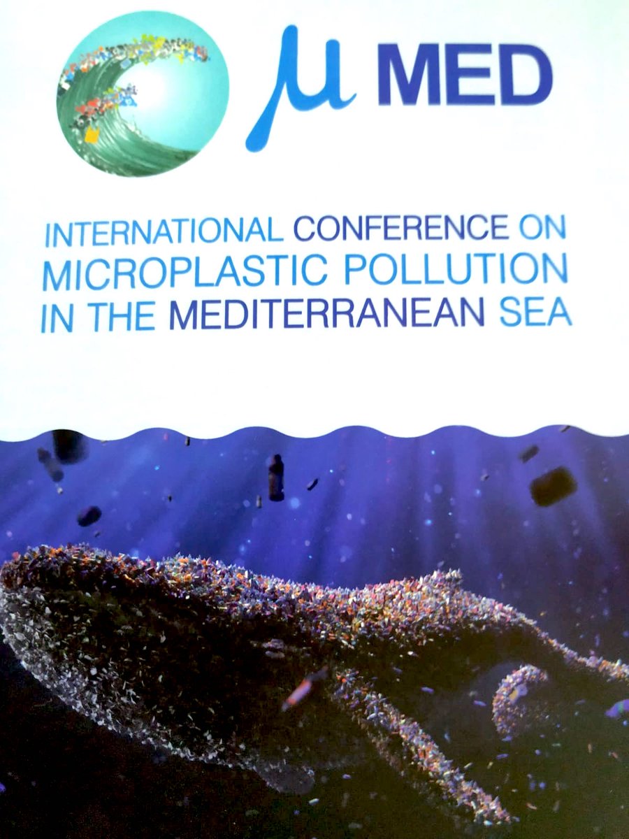 BlueMedEU's tweet photo. Dr. Fedra Francocci explaining the BlueMed Pilot Action on a Healthy, #Plasticfree #Mediterranean Sea at the II International Conference on #Microplastic #Pollution in the Mediterranean Sea, in #Capri (Italy)
@EUScienceInnov @EU_MARE @Med2019Micro #UNEPMAP https://t.co/GMjgvRTraz