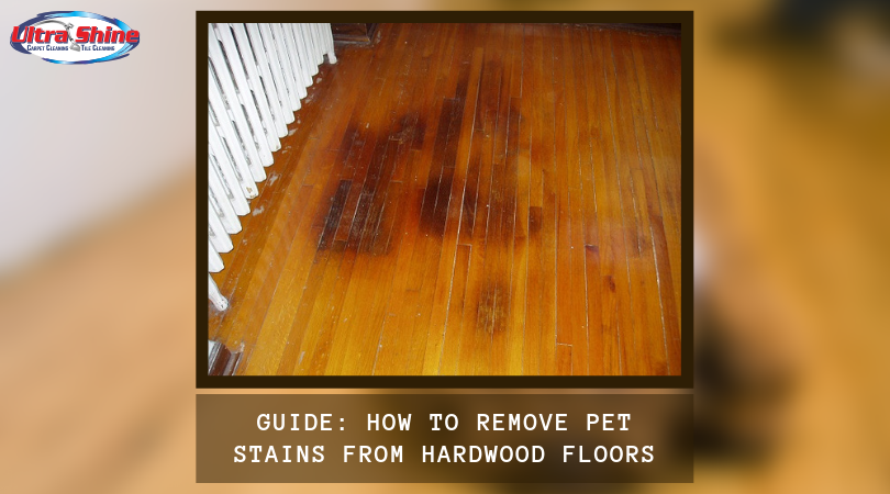 Professionalpetodorremoval Hashtag On Twitter