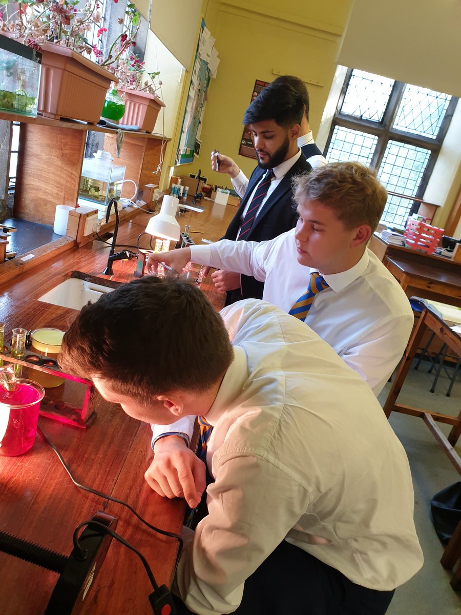 Year 13 looking at differnt factors affecting rate of photosynthesis!