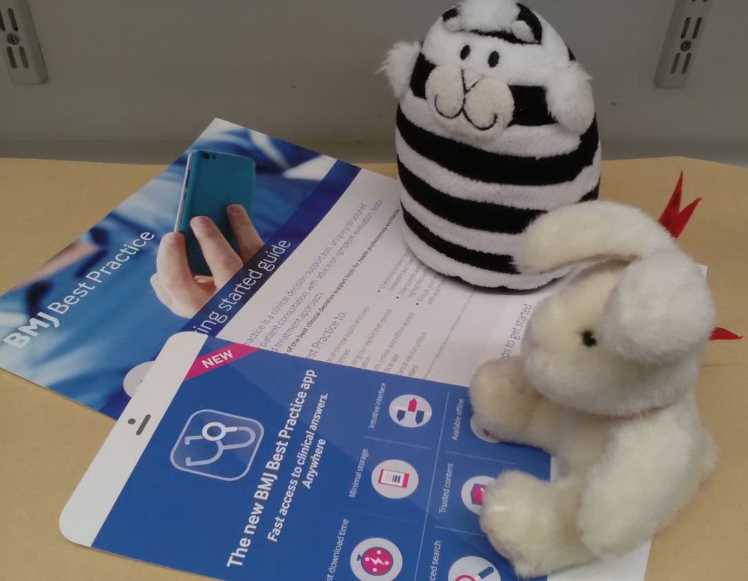 GEHSWFTLibrary's tweet photo. #Billythelibrarycat has been telling Harvey that BMJ Best Practice can help with patient care decisions. He has given him a guide to downloading the handy App for his his mobile "I'll be an 'appy bunny'!" says Harvey. #teameliot #library https://t.co/wR5Jua23Eb