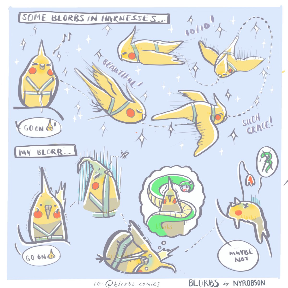 Some #parrots love wearing harnesses... while my #cockatiel thinks that she is being eaten by a snake ...
#CutenessOverload #cute #TuesdayThoughts 

instagram.com/p/B2g35hrAhTF/…