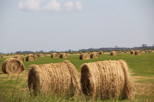 AMweb_nl's tweet photo. Streep door assurantiebelasting brede weersverzekering: Boeren betalen vanaf 2020 geen assurantiebelasting meer over de brede weersverzekering. Het kabinet schrapt het belastingtarief van 21% in de vandaag gepresenteerde belastingplan. Ook over de… https://t.co/bHXWpDdybL https://t.co/QGXHCPv5eV