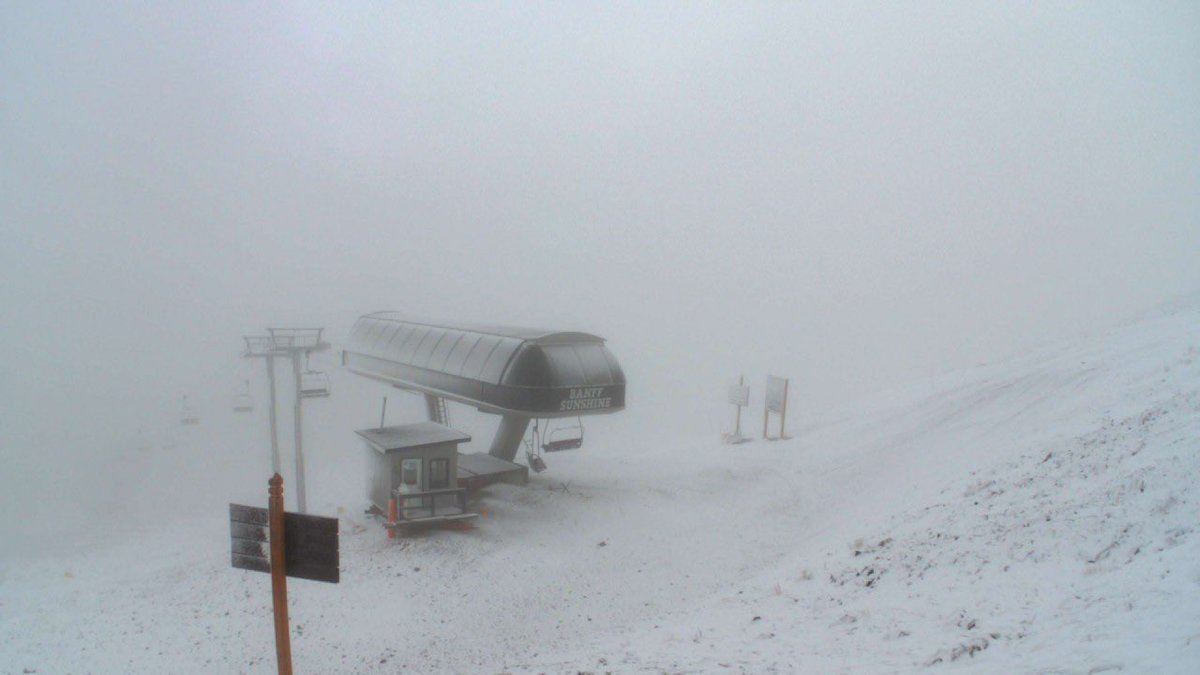 SunshineVillage's tweet image. Guess who’s back, back again. Winter’s back.