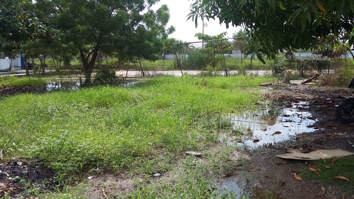 nacordr7's tweet photo. Aquí se generan unos graves problemas de salud @SSaludMonteria y también se nota que faltó una verdadera planeación por parte de la constructora y un seguimiento serio por parte de @sdeplaneacion y @monterialcaldia señores @personeriatweet @GalofreJorge ayudemos esa comunidad. https://t.co/MdOtGJIYj4