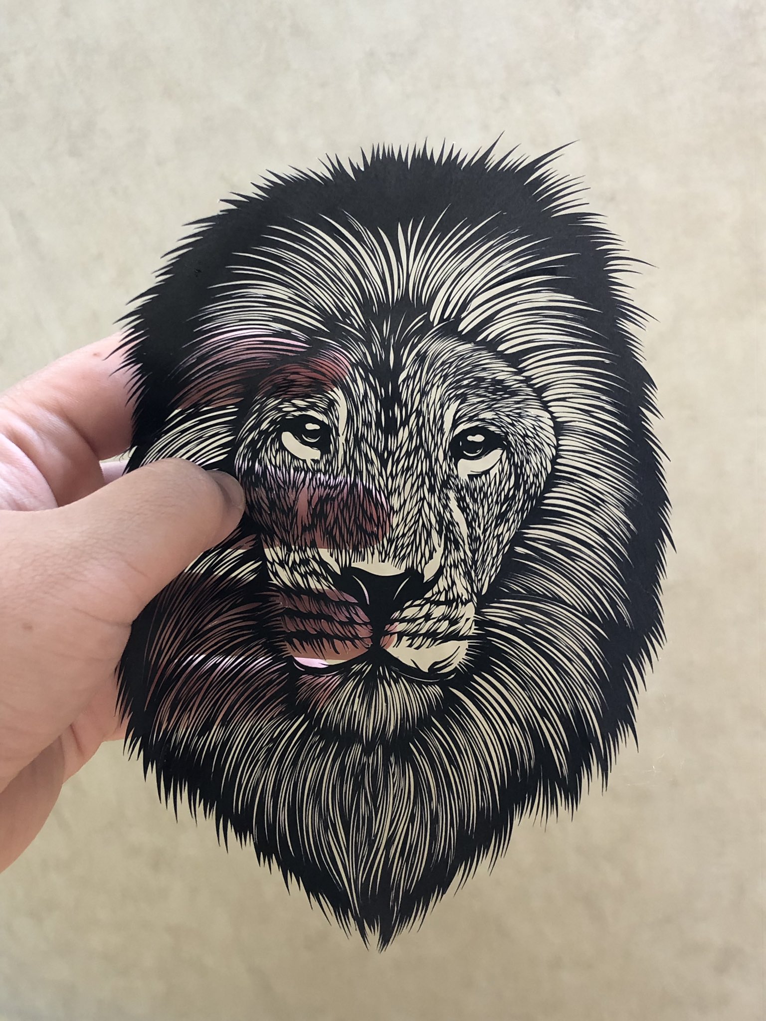 こめこ 奈美 切り絵 ライオンを切りました 優しい目をしていて欲しかったので 黒目は大きくしました 顔の短い毛の感じは ライオンに限らず毎回時間をかけます なるべく左右違和感のないようにするために 何回も離して見るなどしました 切り絵