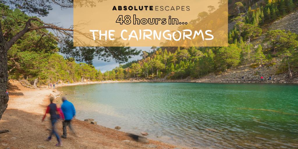 Absolute Escapes tweet media