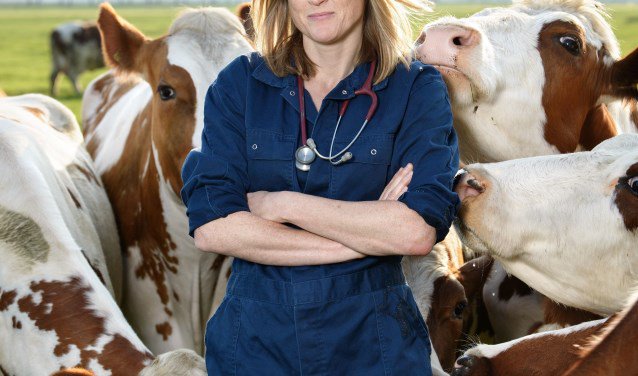 Veeartsen en boerin over hun werk HOORN Op de poster van de documentair film Veearts Maaike ziet het er hartstikke stoer uit. Maar is het werk op de boerderij dat ook? Cinema Oostereiland nodigt bij de vertoning... twib.in/l/XEX48xarrLdA via <a href="/WestfriesWB/">WestfriesWeekblad.nl</a>