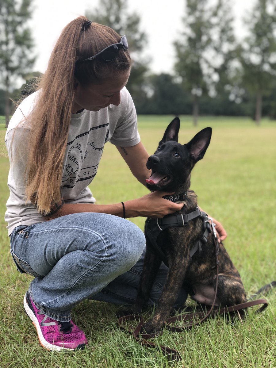 Littleman Hashtag On Twitter - 