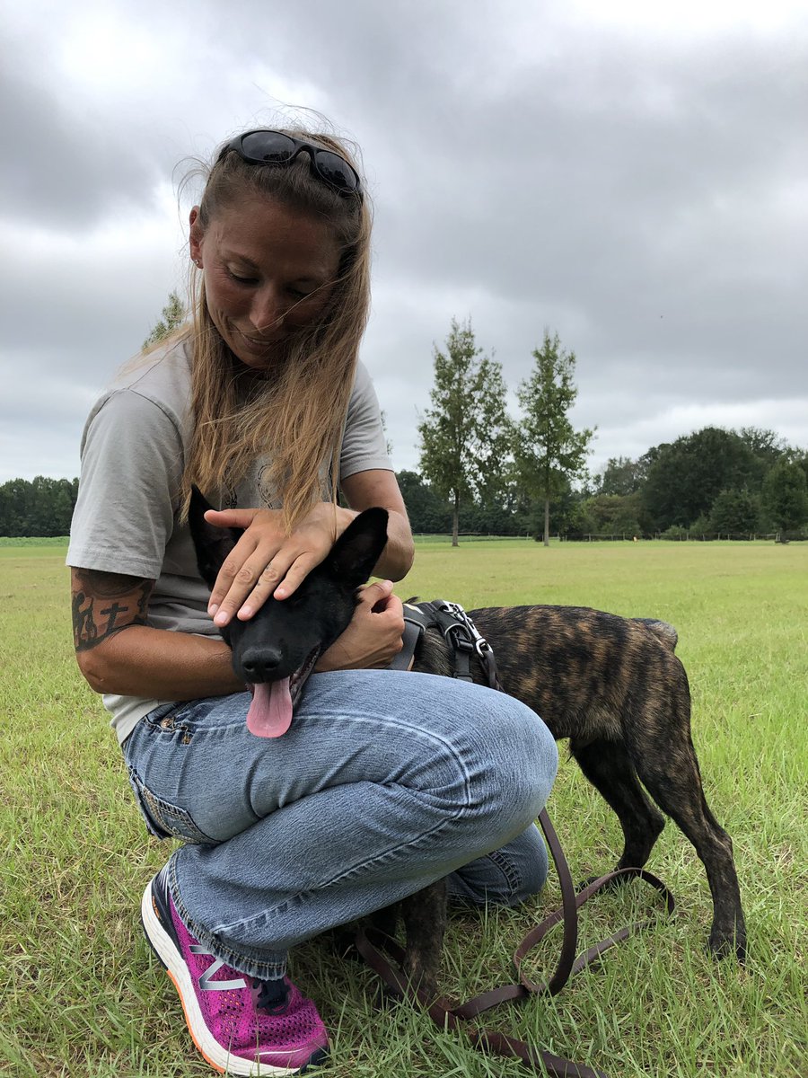 K9Apart's tweet photo. Someone is turning into a mama’s boy and I wouldn’t have it any other way. 😍What’s going through his head in the last picture?! 🤔#dutchshepherd #puppy #littleman #mamasboy #worthlesshandler #trainordie #babybro https://t.co/FauzIxUXSB