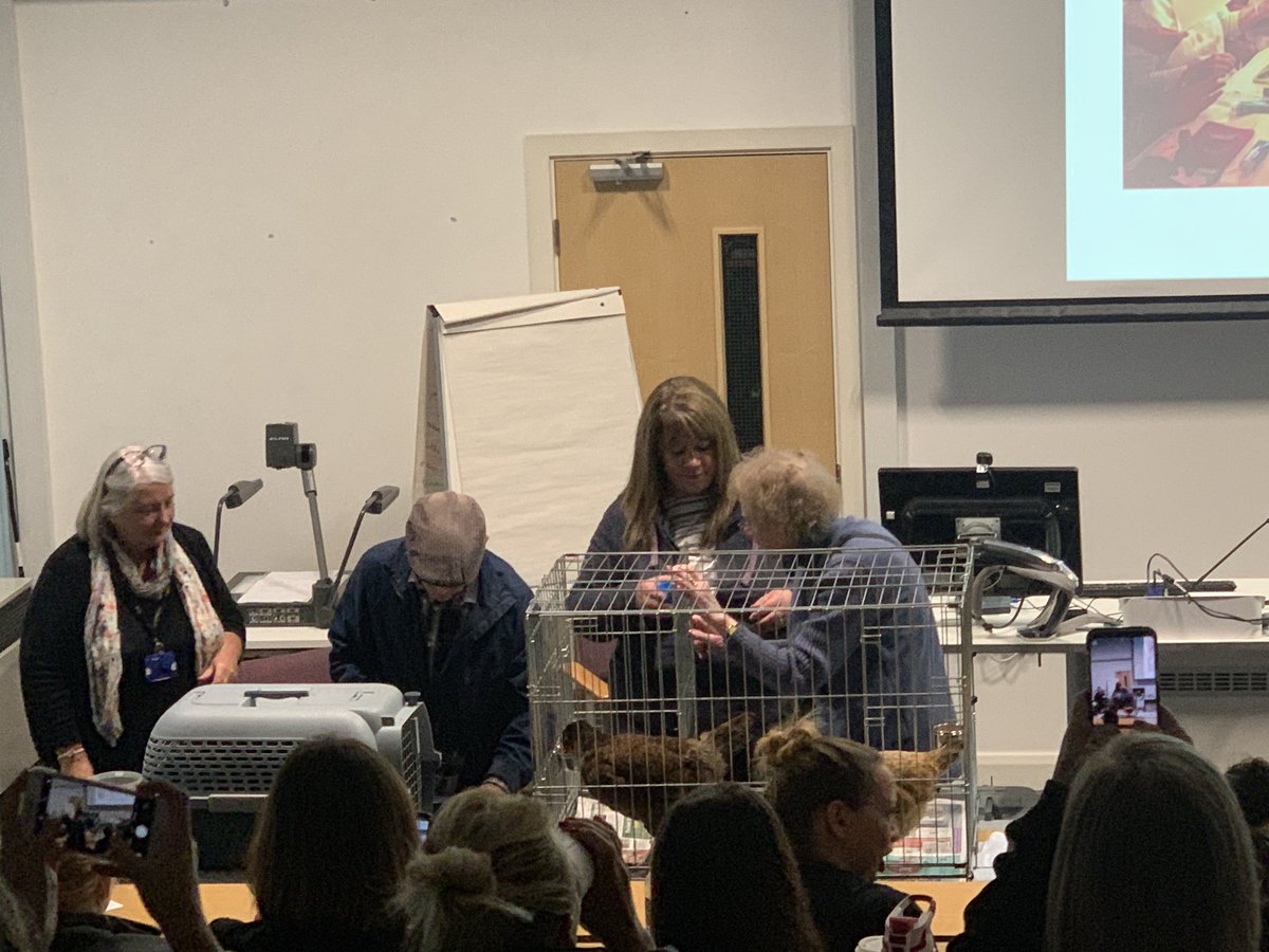 garyhal35615390's tweet photo. What an amazing creative project for older people. Through hen therapeutic person-centred relationships. #Henpower xxx https://t.co/OpBTmZMgXD