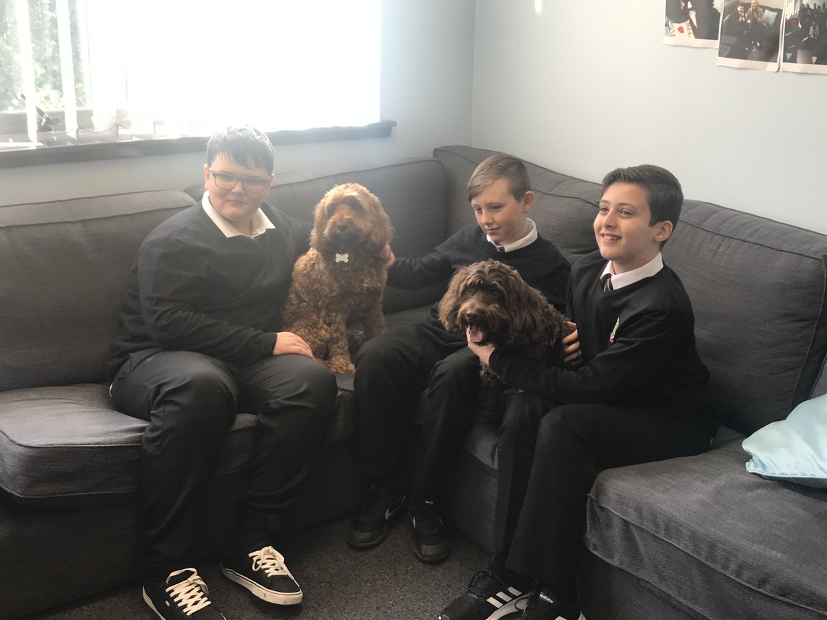 TheCloud_GHS's tweet photo. We had some special visitors pop in this morning. We made the most of the beautiful weather and went out for a walk and talk. The boys made sure Angus and Cooper were well looked after.
@TheCloud_GHS #nurture #walkandtalk #pawsforthough #caring #dogwalk #education https://t.co/yYs2gwRoZl