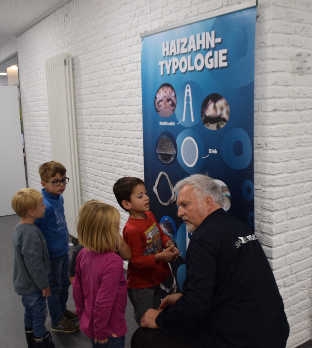 WietiNRW's tweet image. @SharkprojectD #sharkproject Familienbildungsstätte #gronau Ausstellung bis zum 10.10. und Schulvorträge oder Workshops für Kinder ab 3 Jahren auf Anfrage.