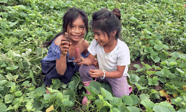 How a child’s environment can affect their personality dlvr.it/RDGYsg