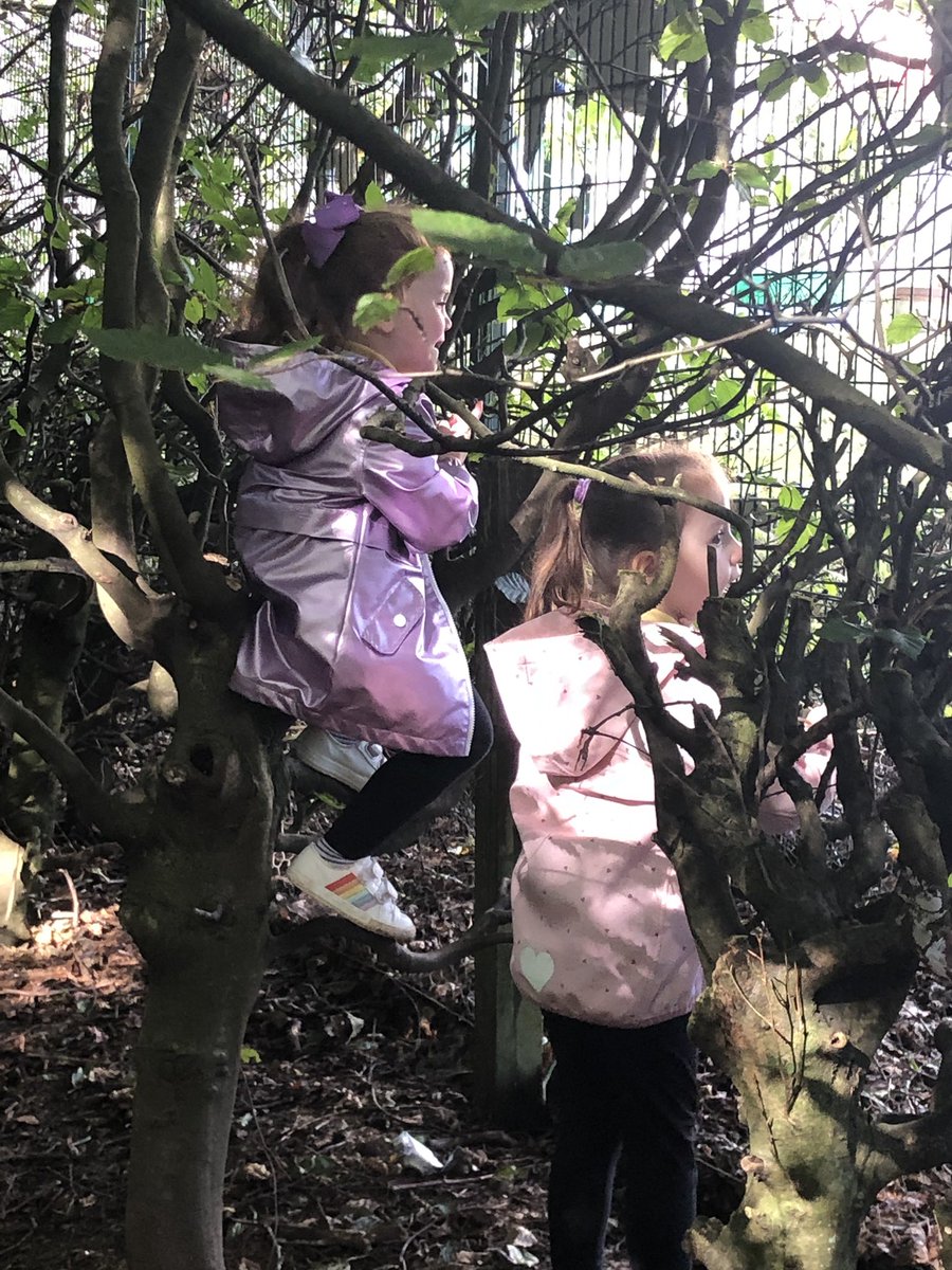 netherweans's tweet photo. Our wee people enjoyed risky play in our woodland area this morning. They were confidently climbing trees 🌲 #outdoorlearning #buildingresillience #capable https://t.co/s2To8x2CE6