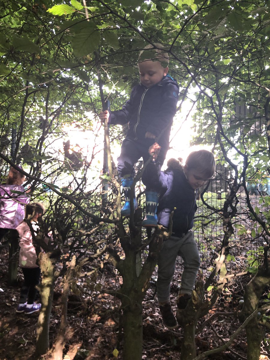 netherweans's tweet photo. Our wee people enjoyed risky play in our woodland area this morning. They were confidently climbing trees 🌲 #outdoorlearning #buildingresillience #capable https://t.co/s2To8x2CE6