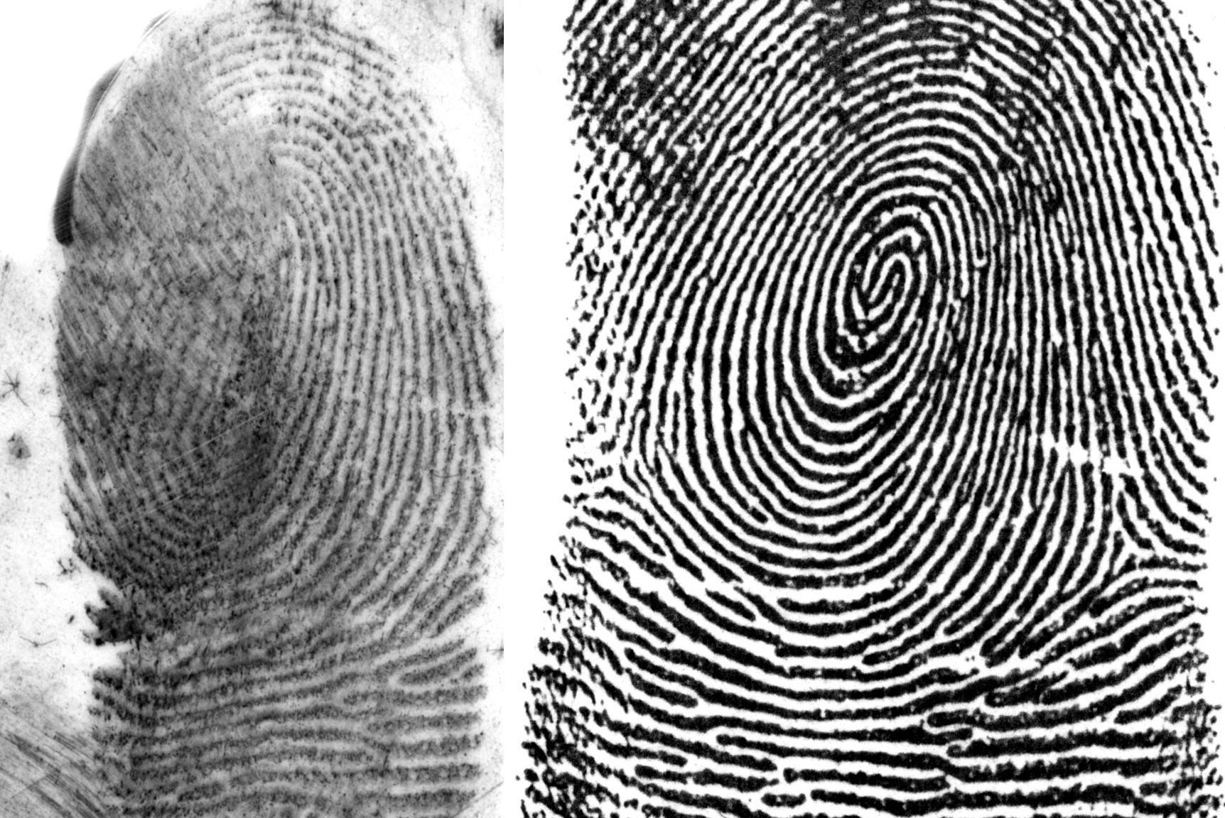 Accidental Fingerprint