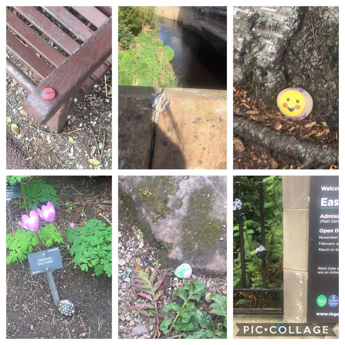 ELREC_YPAH's tweet photo. Some more of our happy wee stones dotted around Edinburgh. See if you can spot them #Edinburgh #rockart #nohate #ypah https://t.co/VSkTLTgS6p