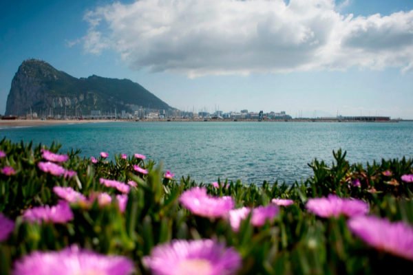 Tan cerca y ...tan lejos!

"El Gobierno es consciente d q la #GestaciónSubrogada ya es una realidad en #Gibraltar y considera q debe existir un marco legal adecuado..."
"Este proyecto d ley proporciona la base para aquellos q no pueden..."
#StopSubrofobia

gibraltar.gov.gi/index.php/pres…