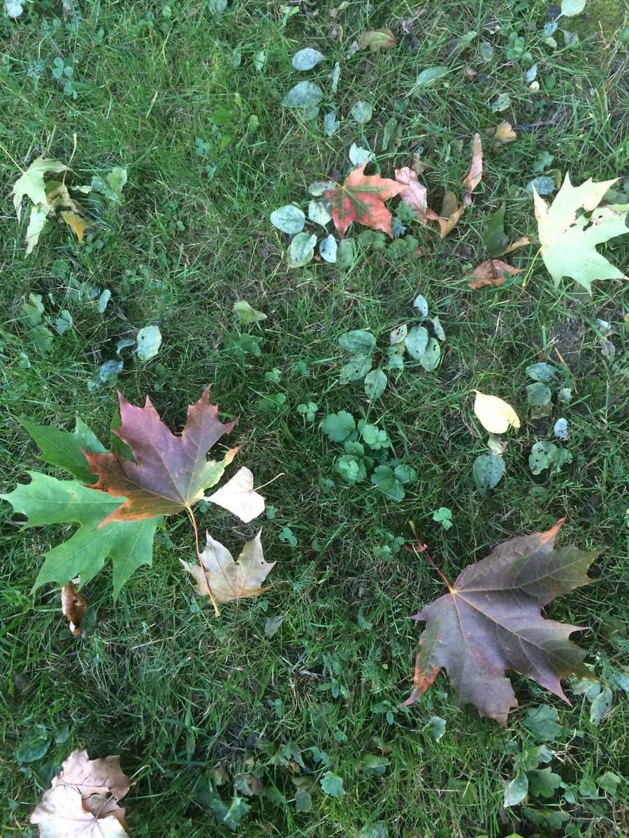 Холодно и грустно? Как прожить осень с радостью instagram.com/p/B2erkXZpfhV