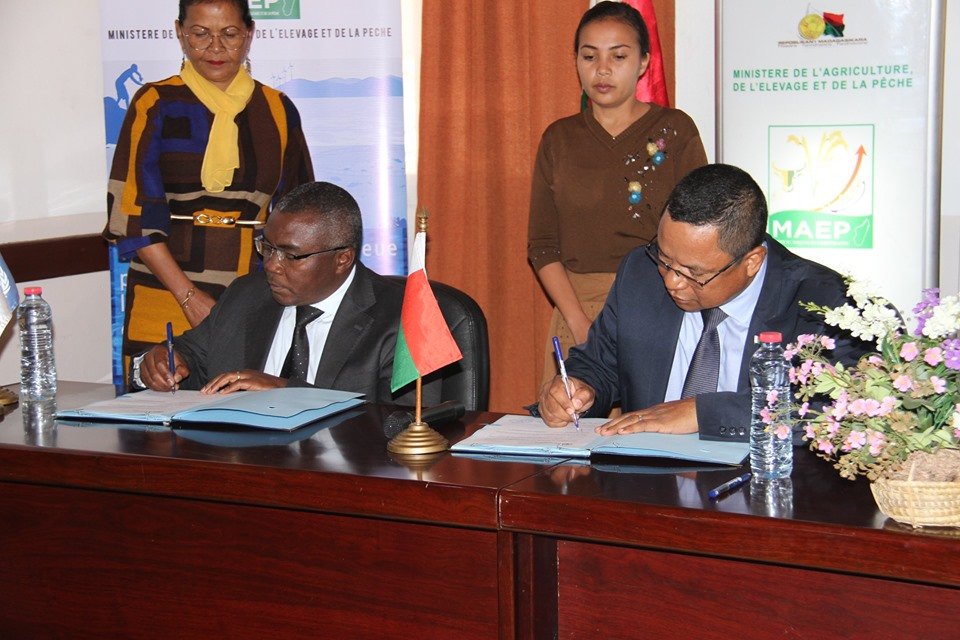 FAO in Madagascar, Comoros, Mauritius & Seychelles tweet media