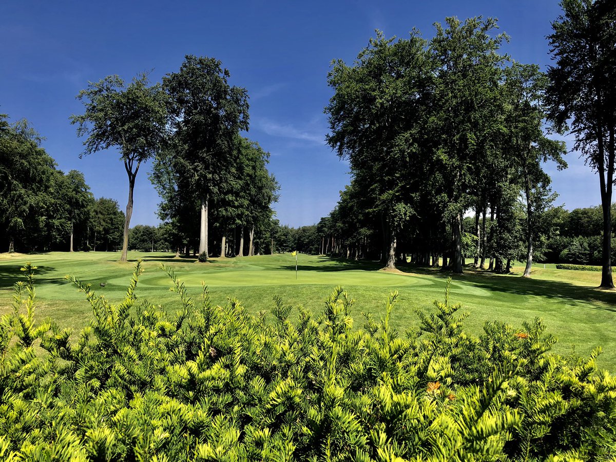 David Edwards tweet media