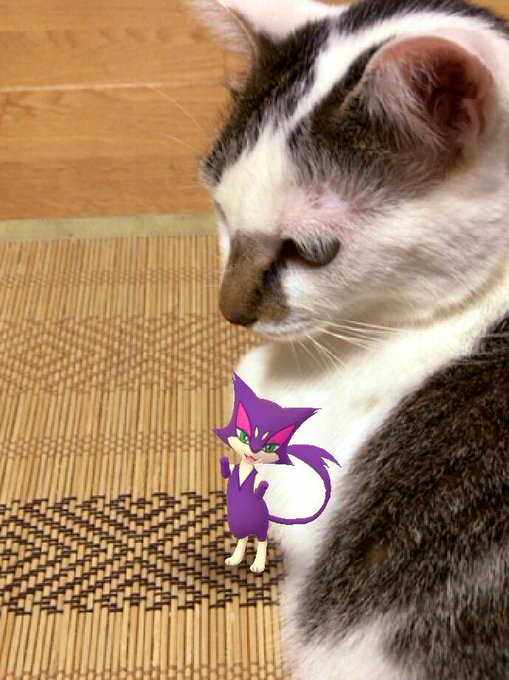 チョロネコのtwitterイラスト検索結果