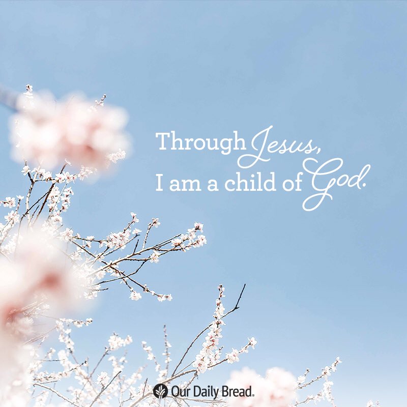 AliceOwensWOG's tweet photo. #hungryforgodsword #wordofgod #godsword #dailybread #ourdailybread #JesusIsTheWay #ThroughJesus #ChildOfGod
Feed your Soul not your flesh. Give nourishment to your Spirit. https://t.co/7YgnrfmVFz