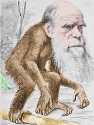 darwin_thedawg's tweet image. I was one of the first people to believe we evolved from ape like species.
#evolutionrules