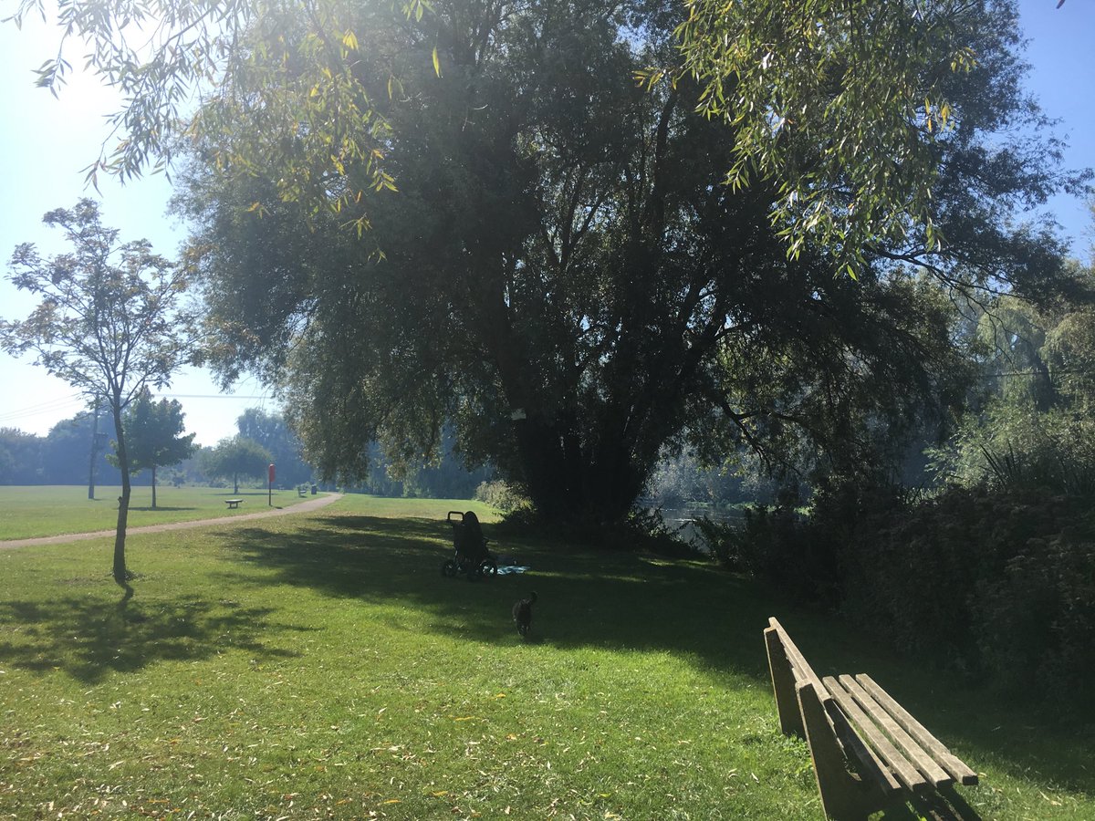 Fordingbridge News tweet media