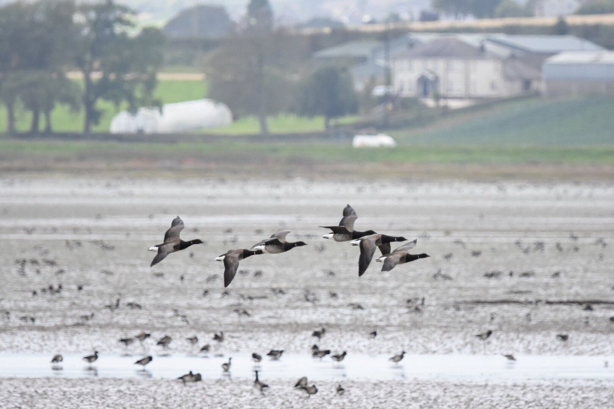 Lesley Barker tweet media