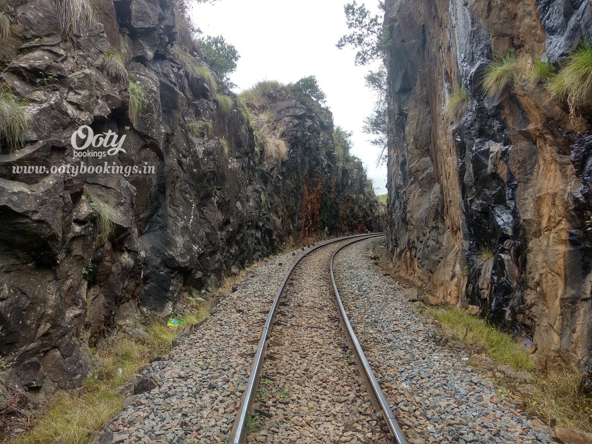 Time now to enjoy the queen of hills!

#TourPackages #Adventure #Resort #Hotels #Cycling #Camping #Trekking #Ooty #BlueMountains #HillStations #Holidays #OotyBookings #AmazingNilgiris #Nilgiris #Ootylove #OotyTrip

ootybookings.in