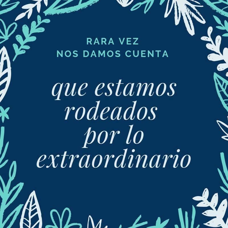 RepAutoclick's tweet image. Rara vez nos damos cuenta de que estamos rodeados de lo extraordinario #FelizMartes