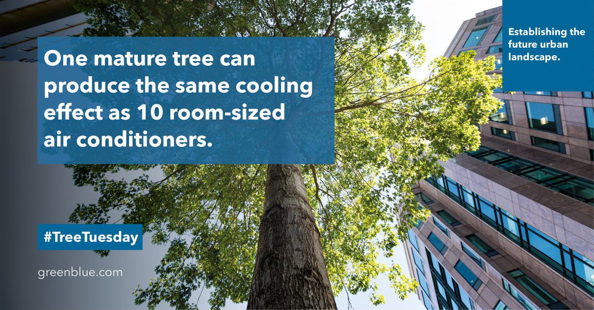 It's well known that trees add a plethora of benefits to our urban areas, including cooling effects. Discover more of the benefits by reading our publication on the Benefits of Urban Trees. bit.ly/2ZcMVG5