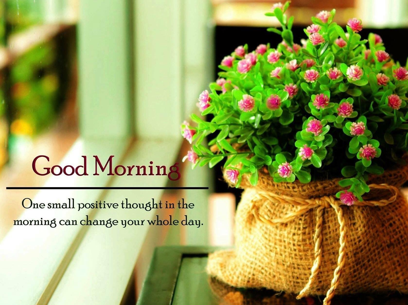 Positive Good Morning Tuesday Twitter 上的 Eden Garden："Good Morning! 👋 Happy Tuesday! Have A Terrific  Tuesday! #Goodmorning #Tuesday #Terrifictuesday #Morning #Tuesdaymorning  #Smile #Positive #Fab #Fun #Positive #Vibes #Positivevibes #Mind  #Positivemind #Life #Edengarden ...