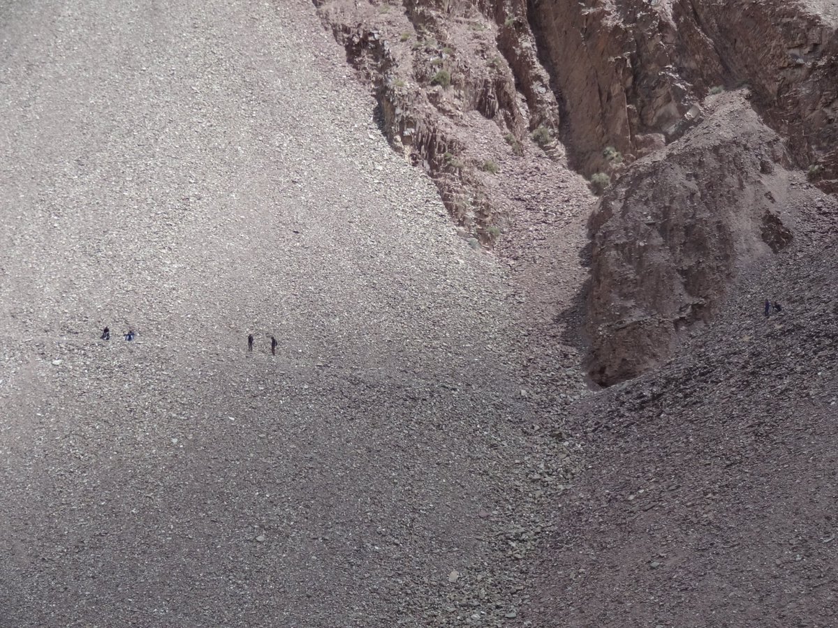 Krishnendu Bose tweet media