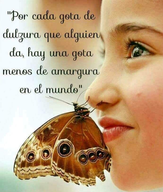 Venancio Muñoz Hernández on Twitter: "Buenos días feliz martes. Dios te  bendiga.… "