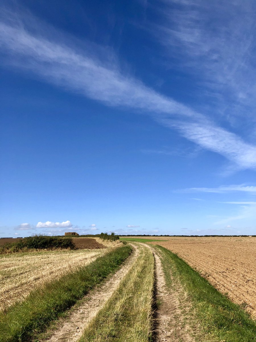 yellowbelly77's tweet photo. Glorious day out here in the Lincolnshire Wolds big blue skies, warm &amp; slight breeze. Great morning for a ride out on my mtb #gogetoutthere @LincsWoldsAONB @Lincsboxevents @LoveLincsWolds @LincsFM @LincsSkies @LincsLife https://t.co/qldOr7hYvh