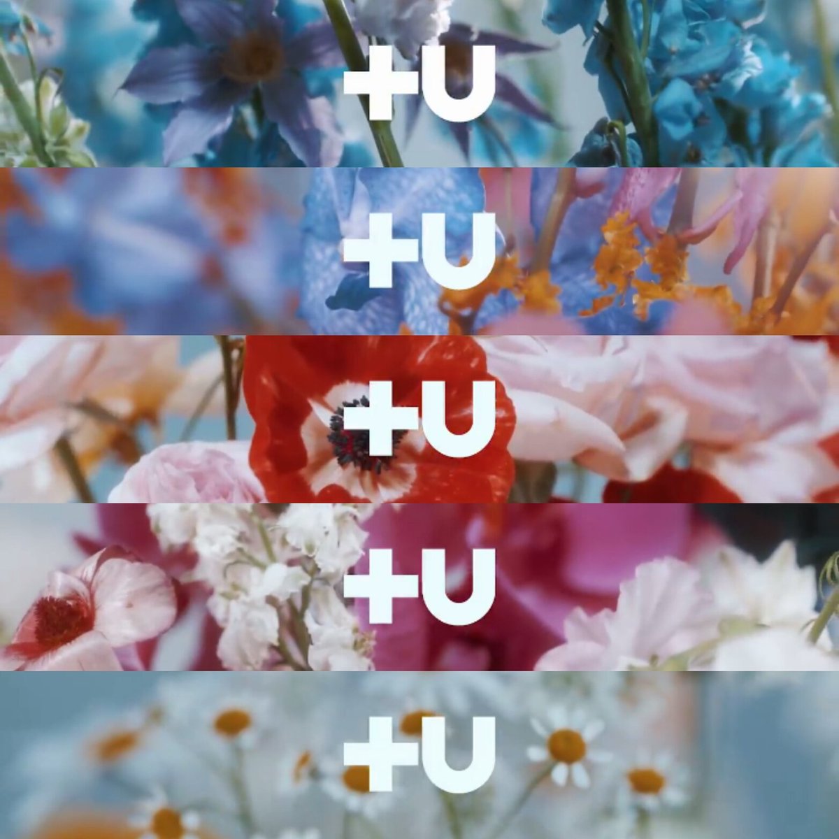 ⊹∞🌨HueNK☃ΞⓣⓧⓣΞ tweet media