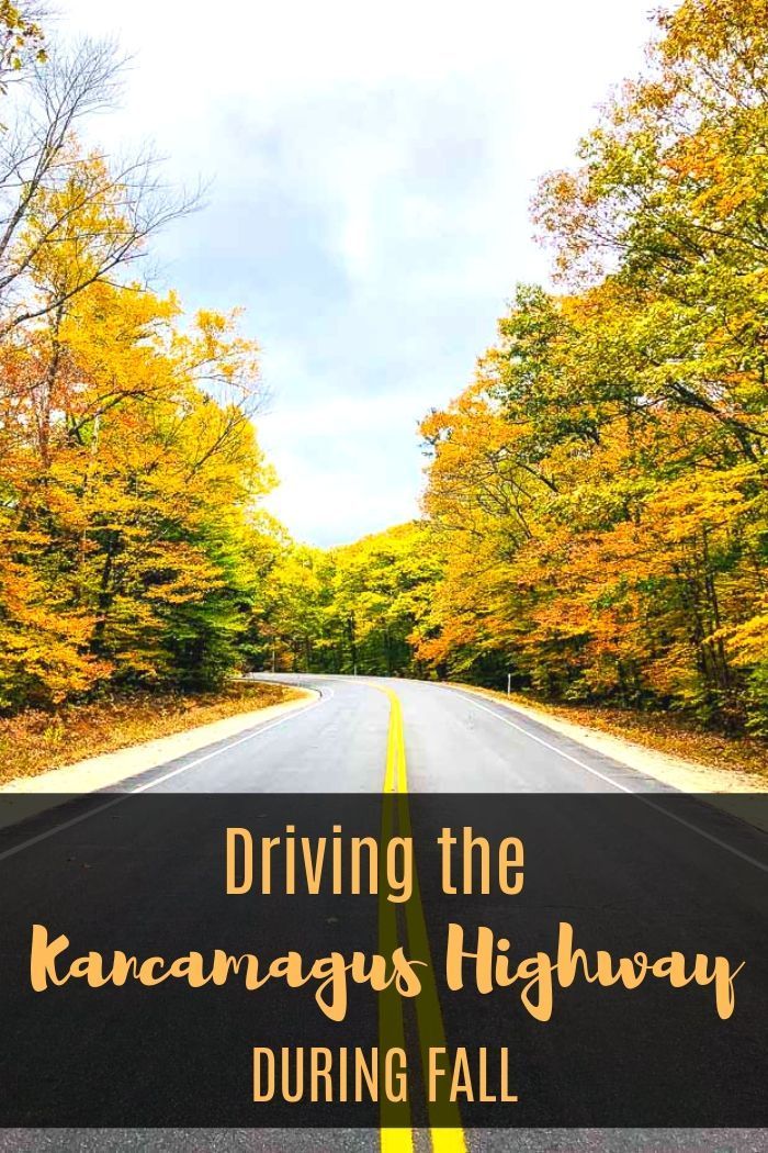 TravelCookTell's tweet image. Driving the Kancamagus Highway during fall travelcooktell.com/driving-the-ka…