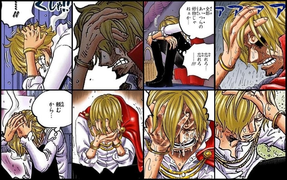 טוויטר まな בטוויטר 途中で辛くなって未だに最後まで読み通せないwci編 奪還編 Wci 到着から約4日間 の中でサンジが頭を抱えた回数は計８回 泣いた回数は計４回 Onepiece T Co Wnitpl57ba